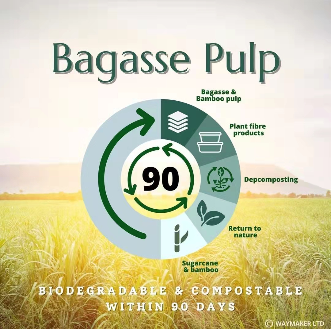 Bagasse pulp-The Best Alternative for Plastic Container