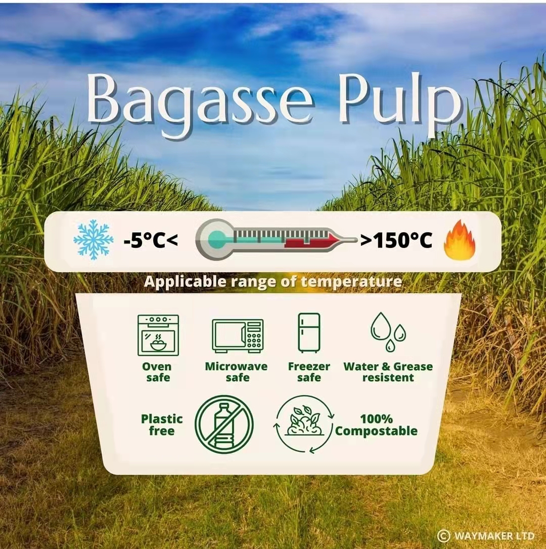 Bagasse pulp-The Best Alternative for Plastic Container