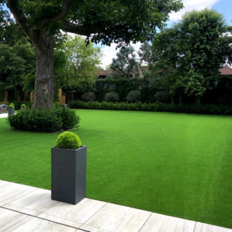 Artificial Grass